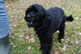 さ しょう 10・26→11・1