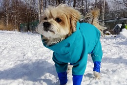 ま　モア