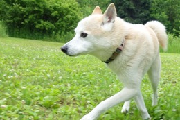 た　万次郎　６・２８→６・２９