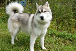 い まろ 9・22→9・29