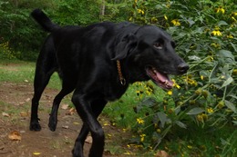 お トミー 9.1→9.6