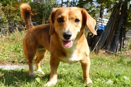 か　みどり　新９歳