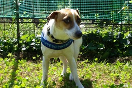 や　マル　8.23→8.27