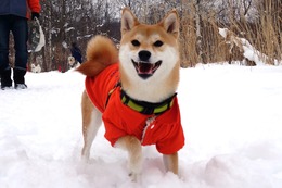 お　ツナ　新2歳