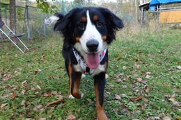 あ　さくら　新１歳