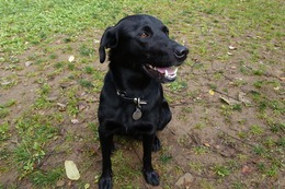 に　ブリンクリー　10.14