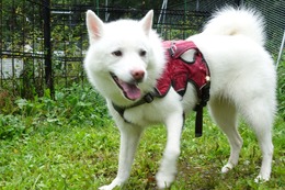 に つらら 8・24→8・28