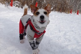さ　縁乃助