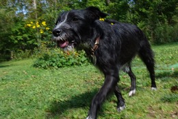 の　エカチェリーナ　９・１７→１０・５