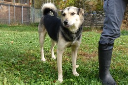 ふ　平蔵　10.14→10.15