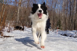 お　ロキ　１１・２３→１１・２７