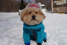 や　らんまる　10歳誕生記念