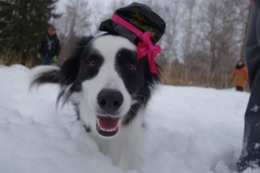 ご ソラ 3歳誕生記念