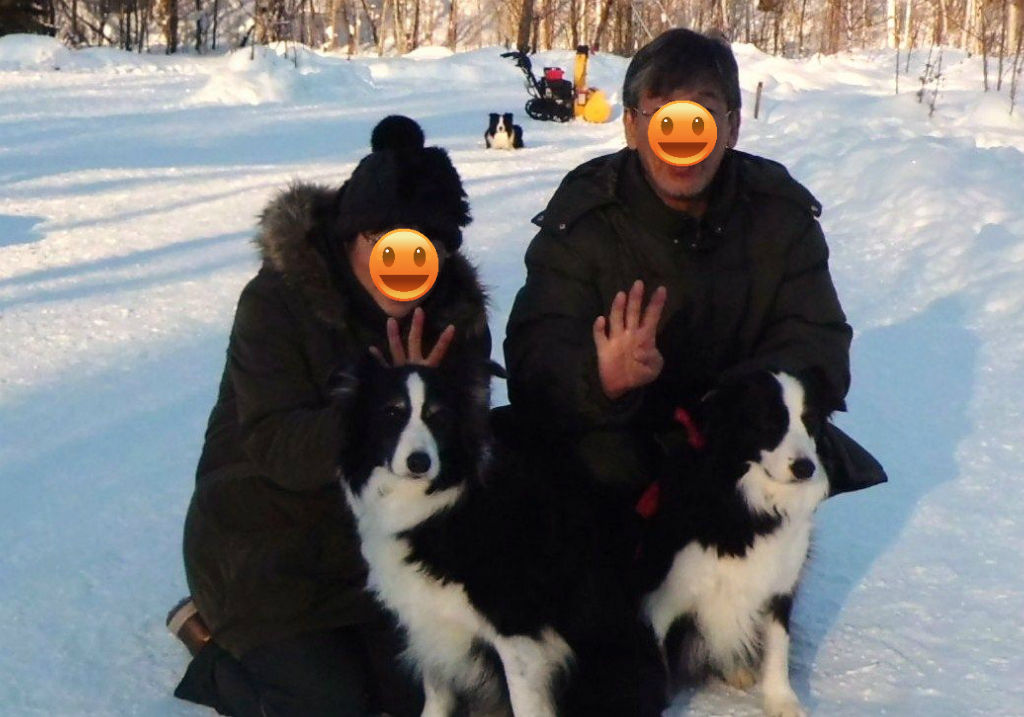 トンネル遊び 1 23 犬と森林浴 大雪山麓のドッグラン日記 トンネル遊び 1 23 犬と森林浴 大雪山麓のドッグラン日記