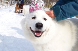 む　さぶろう　４歳誕生記念