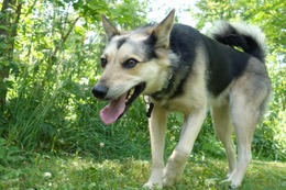 ふ　平蔵　７・９→１０・３