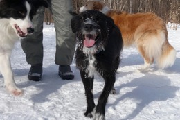 の　エカチェリーナ