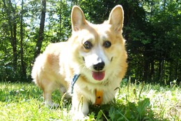 い　カイ　新8歳