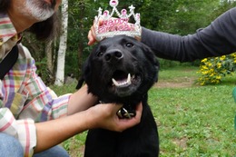 に　ブリンクリー　４歳誕生記念