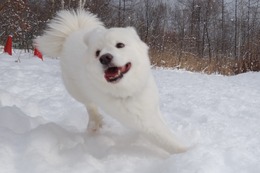 み　ウィン