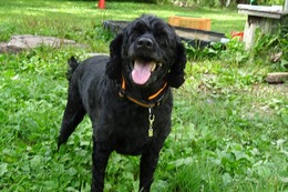 さ しょう 8・16→8・28