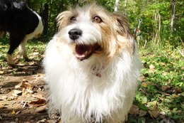 わ　りん　９・２６→１０・３