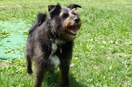 さ　こたろう　５・２６→５・２７