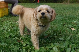 み チャー 10.18→10.19