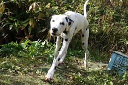 な ジン 10.18→1021