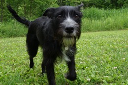 の　エカチェリーナ