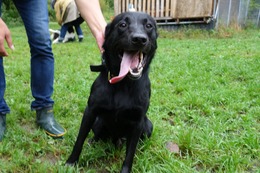 に ブリンクリー 9.11→9.18