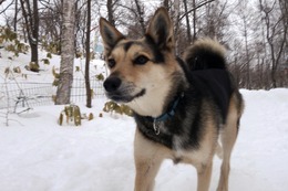 ふ 平蔵 2・23→2・24