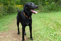 お トミー 8・18→8・27