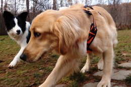 は　メル　１１・１３→１１・２１