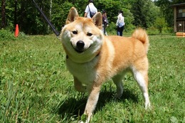 う　ルル　新１歳