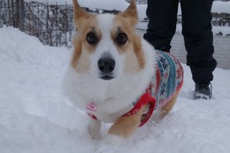 よ　なごみ