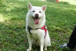 に　つらら　8.26→8.28