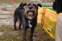 さ　こたろう　１１・２４→１１・２７