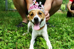 お なる 3歳誕生記念