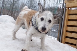 な チロル 4・9→5・28