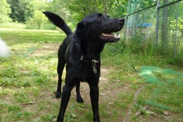 に　ブリンクリー7.27→8.7