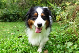 か アラン 9・18→5・28