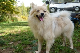 す 小太郎 9・29→10・5