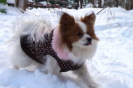 ご リト 1・21→2・18