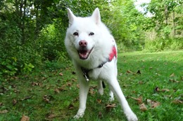 に つらら 9.15→9.16