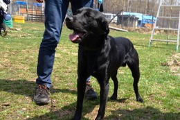 に ブリンクリー 4・29→6・3