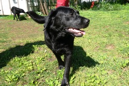 の　大福　５・３１