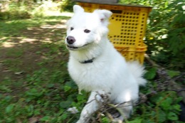 み ウィン