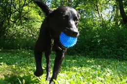 に　ブリンクリー