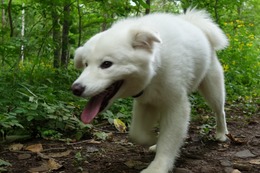 み　ウィン
